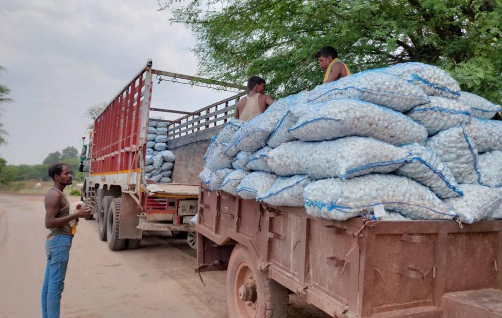 Why are Madhya Pradesh farmers throwing away their garlic crops?